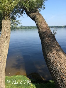 Blick über den Templiner See
