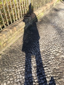 Ein Schatten auf der Straße