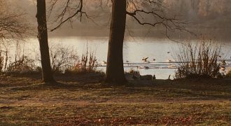 Wenn Wünsche wahr werden … Wenn Wünsche wahr werden …