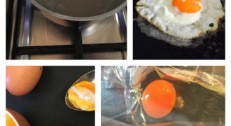 Das Experiment am Ei
