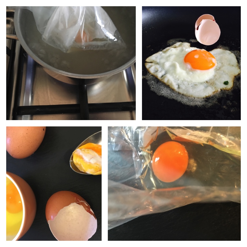 Das Experiment am Ei
