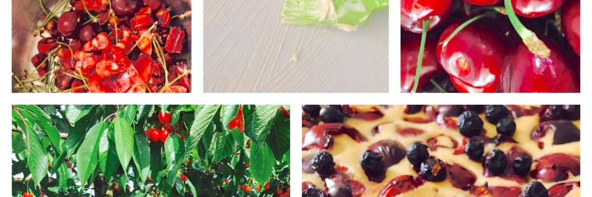 Sommerküche: mein Clafouti