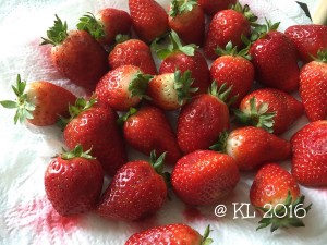 26.07.16_Erdbeeren