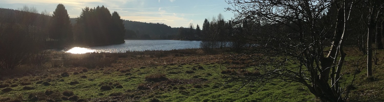 Blick in Buntenbock über Feld und Teich