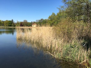 Heiliger See Potsdam