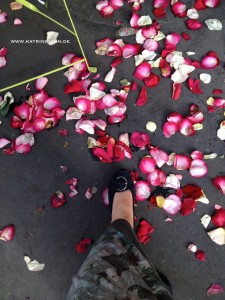 Rosenblätter am Boden