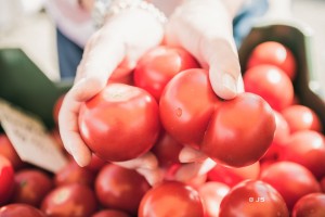 Marktfrische Tomaten